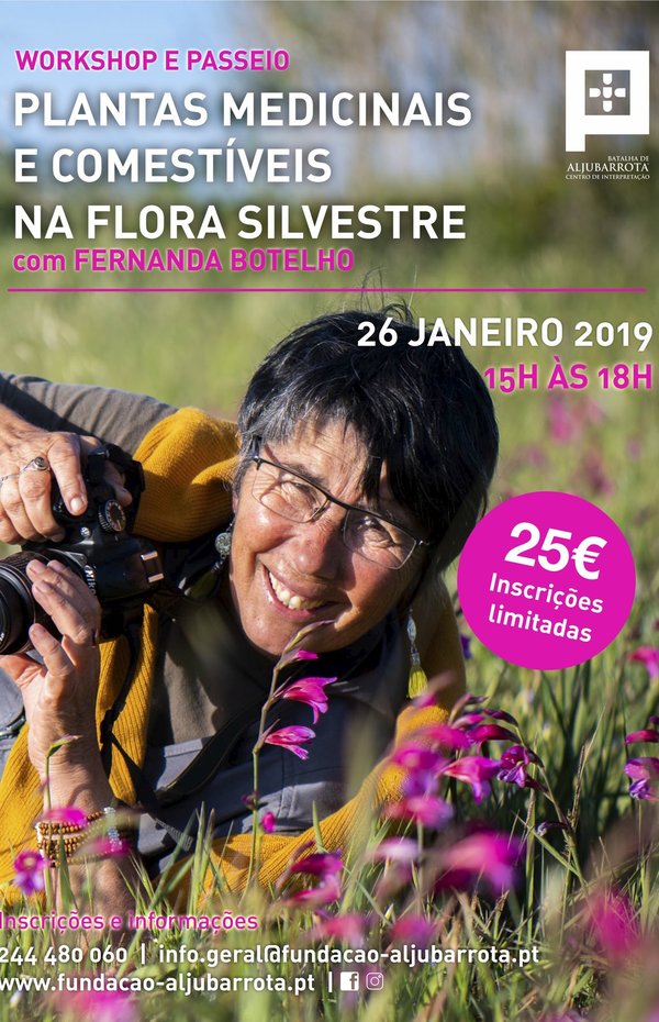 cartaz_plantas_medicinais_e_comestiveis_na_flora_silvestre