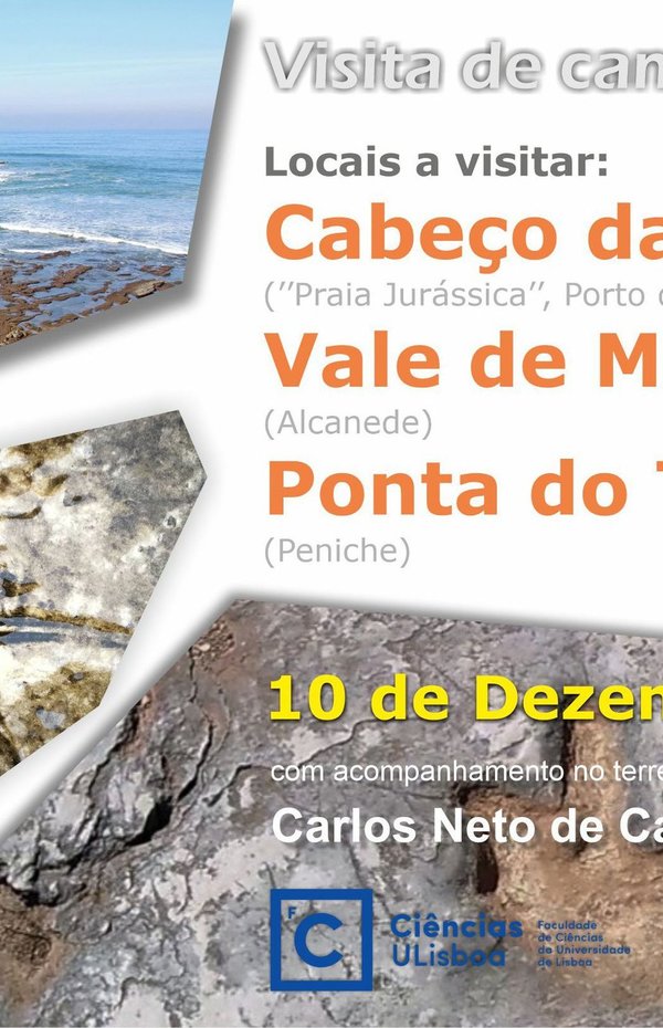 2022_12_visita_praia_jurassica_vale_de_meios_paleo_geofcul