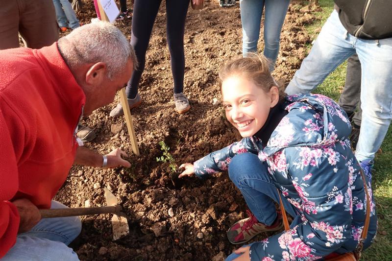 Escolas lançam Projeto P plantando árvores!