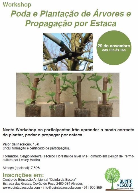 Workshop Poda e Plantação de Árvores e Propagação por Estaca